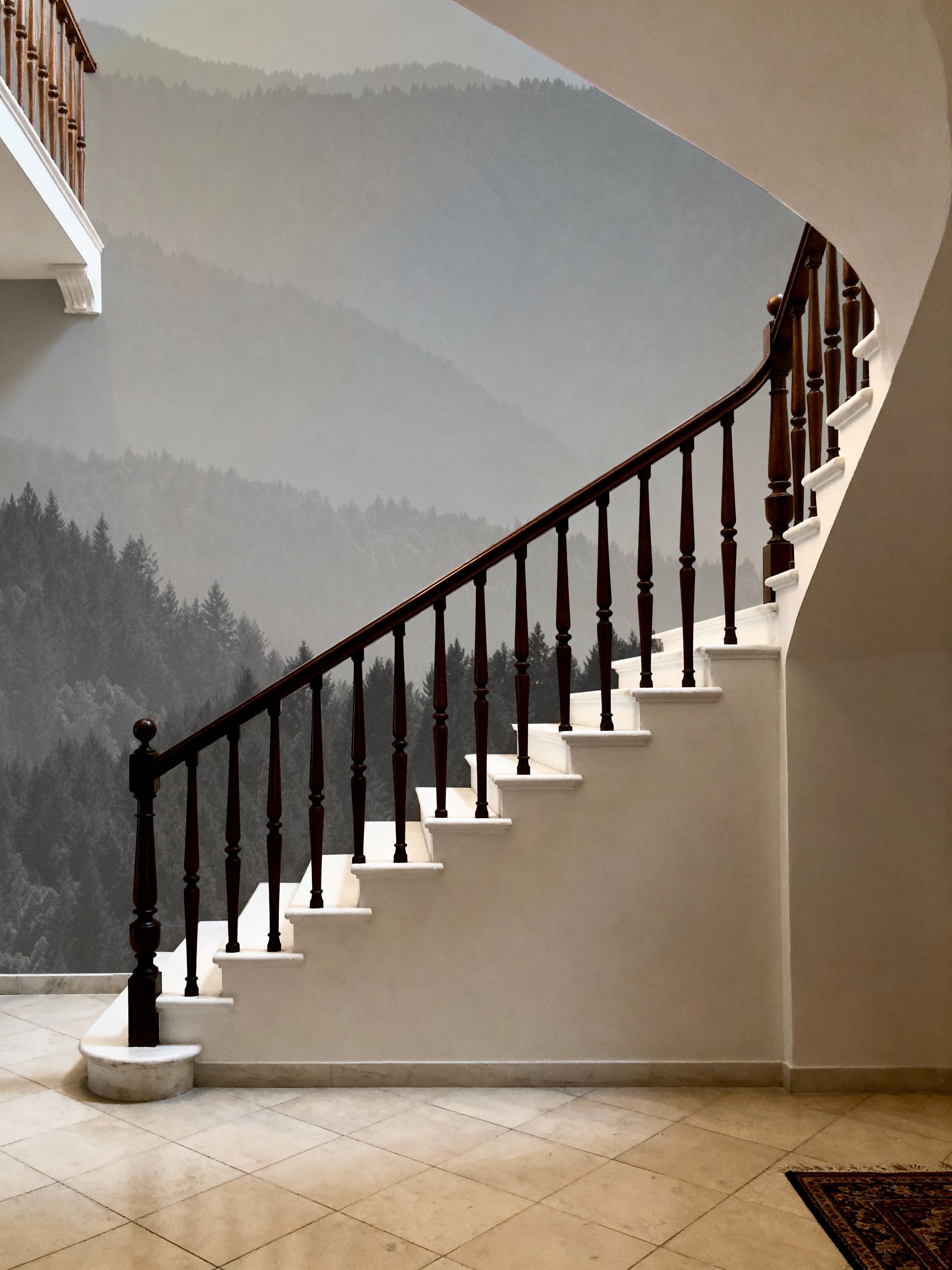 Deep in the Lost Coast