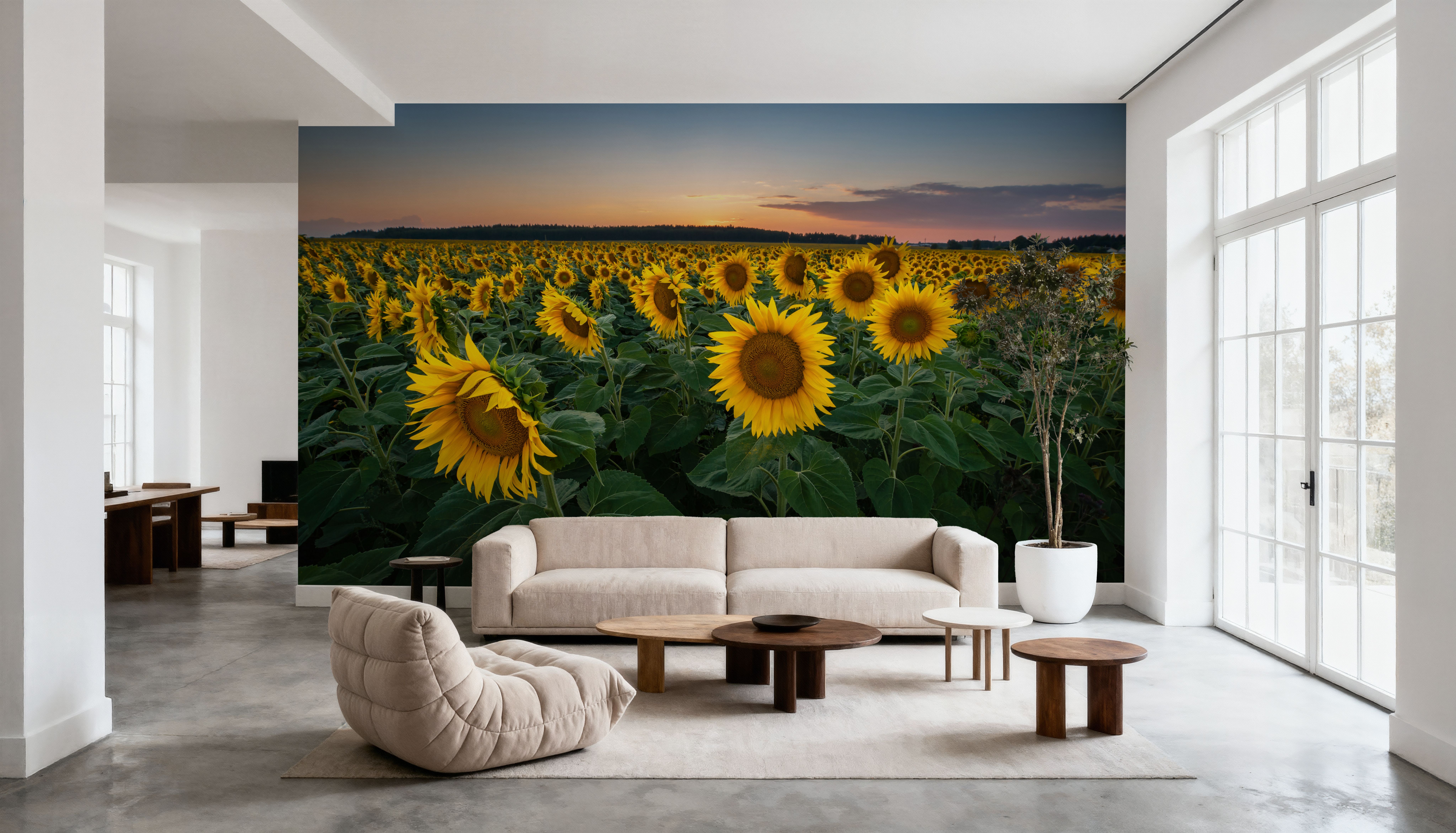 Proud Sunflower Field