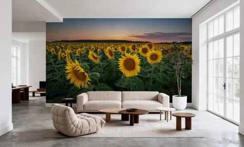 Proud Sunflower Field