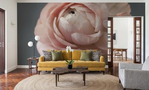Romantic Ranunculus