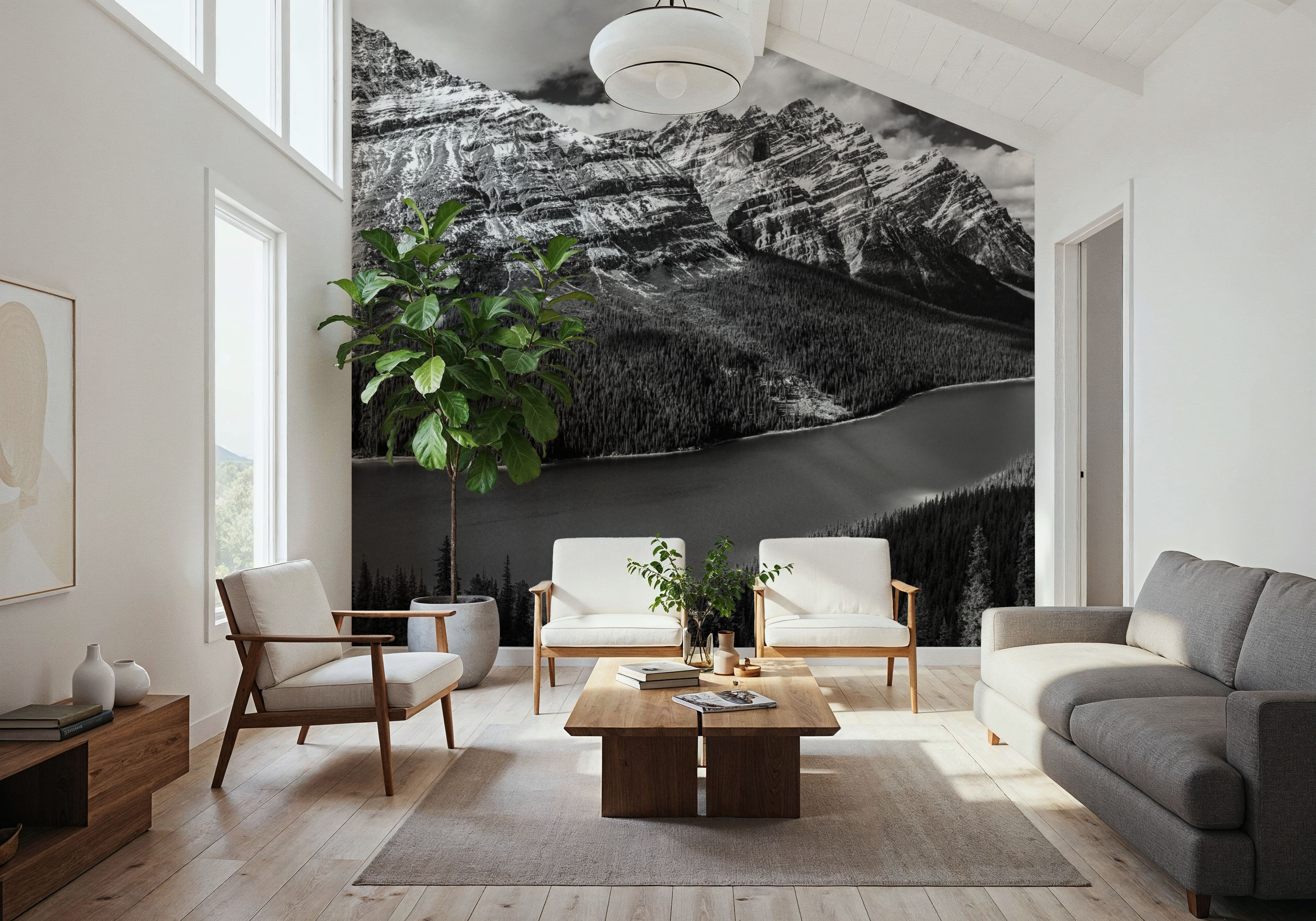 Peyto Lake BW, Behang