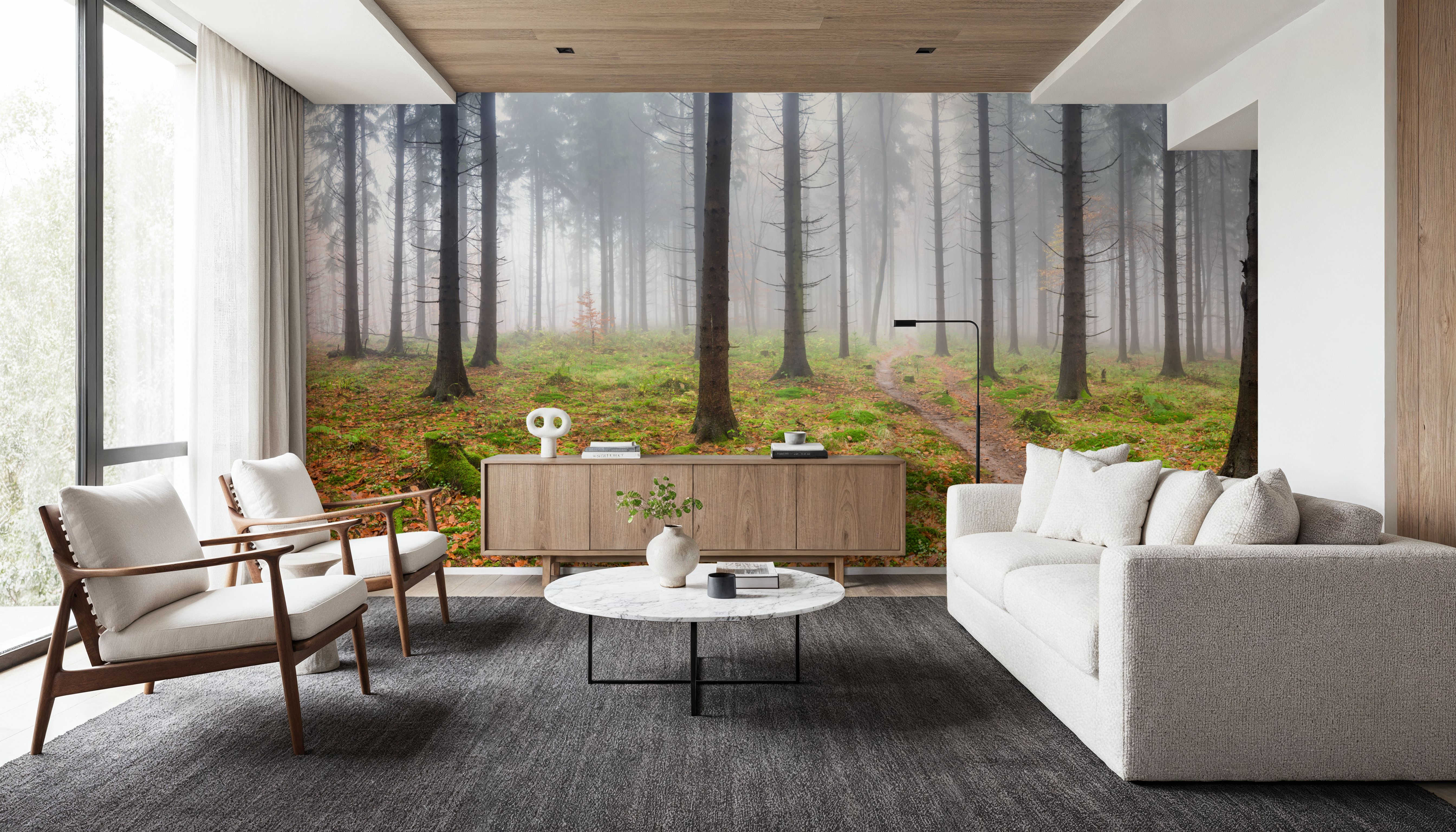 Foggy Forest