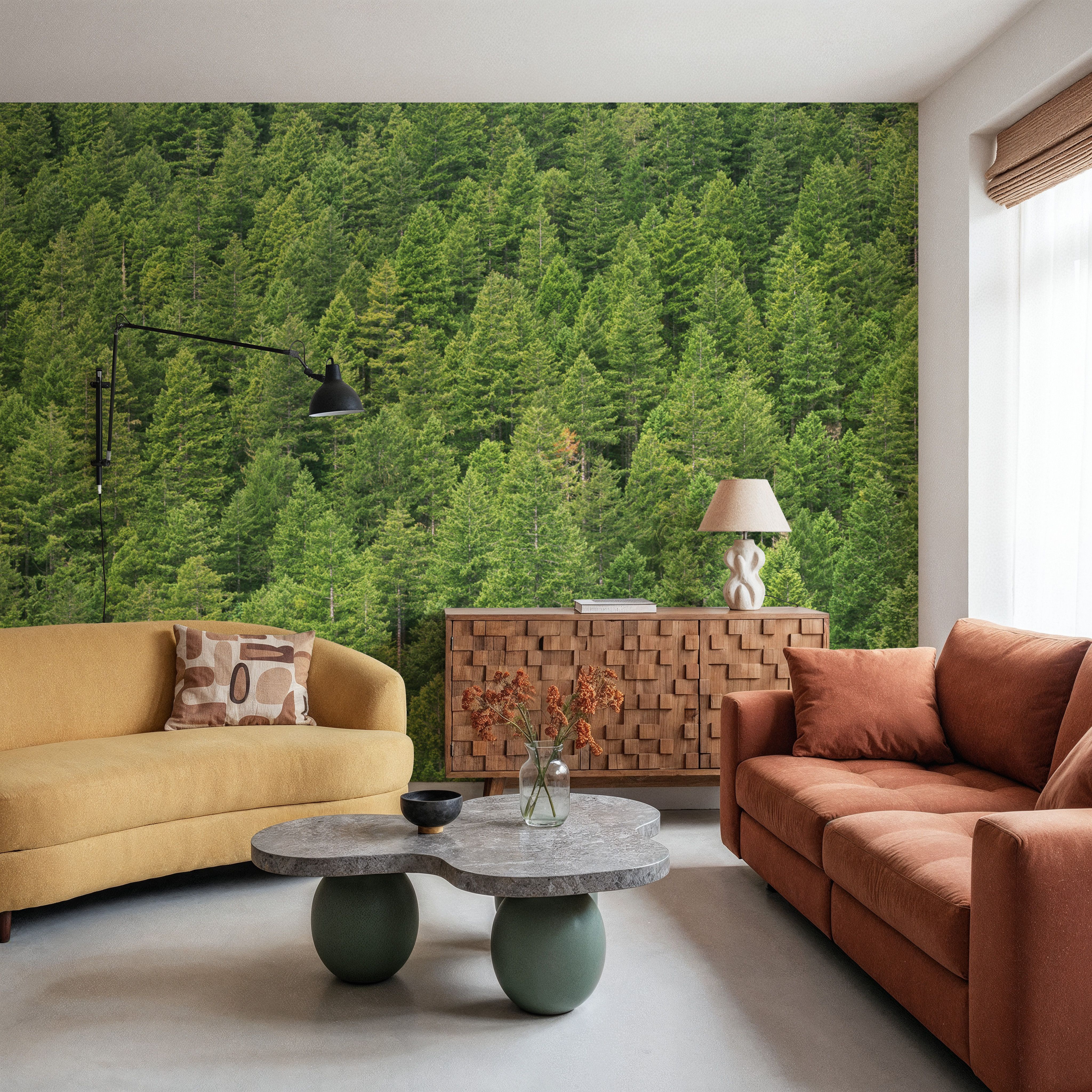 Evergreen Forest in Washintong State