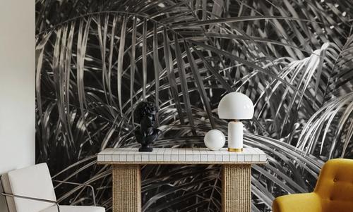 Tropical Fronds