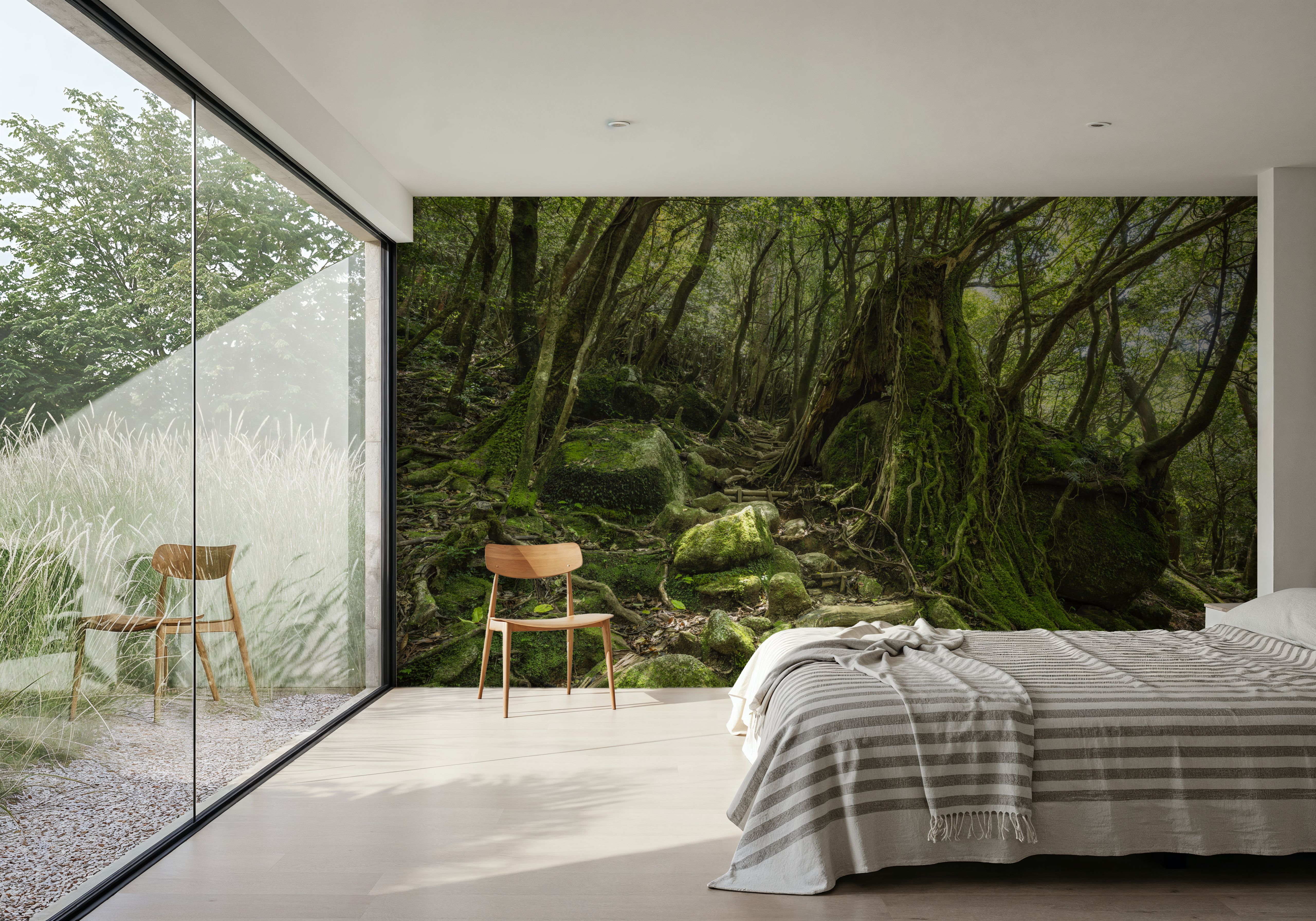 Moss Forest, Papel pintado