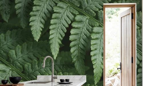 Fern Lines
