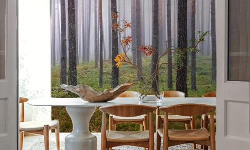 Hide and Seek Forest