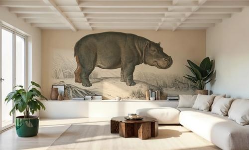 Animals of Africa I