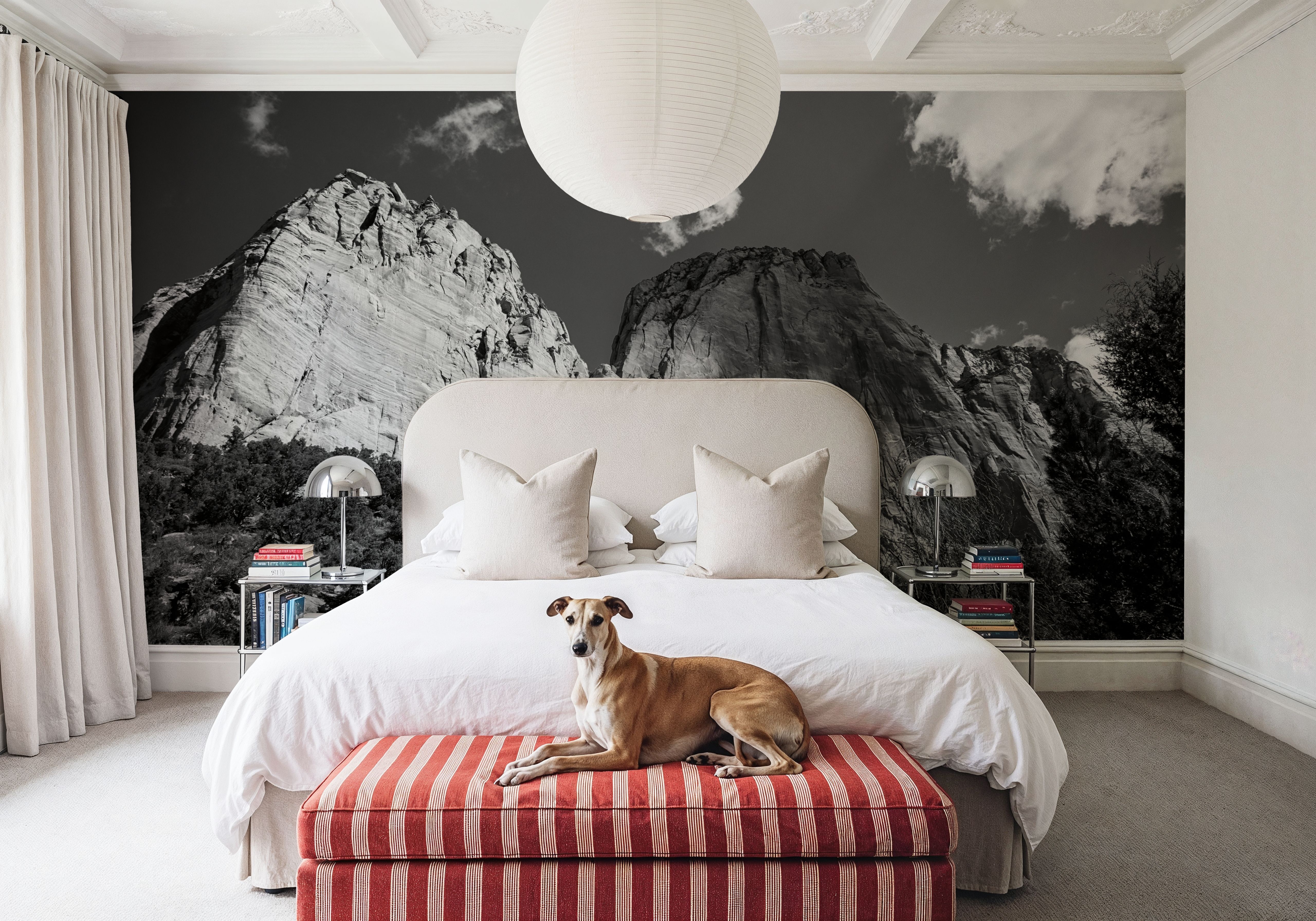 Kolob Canyons Black & White