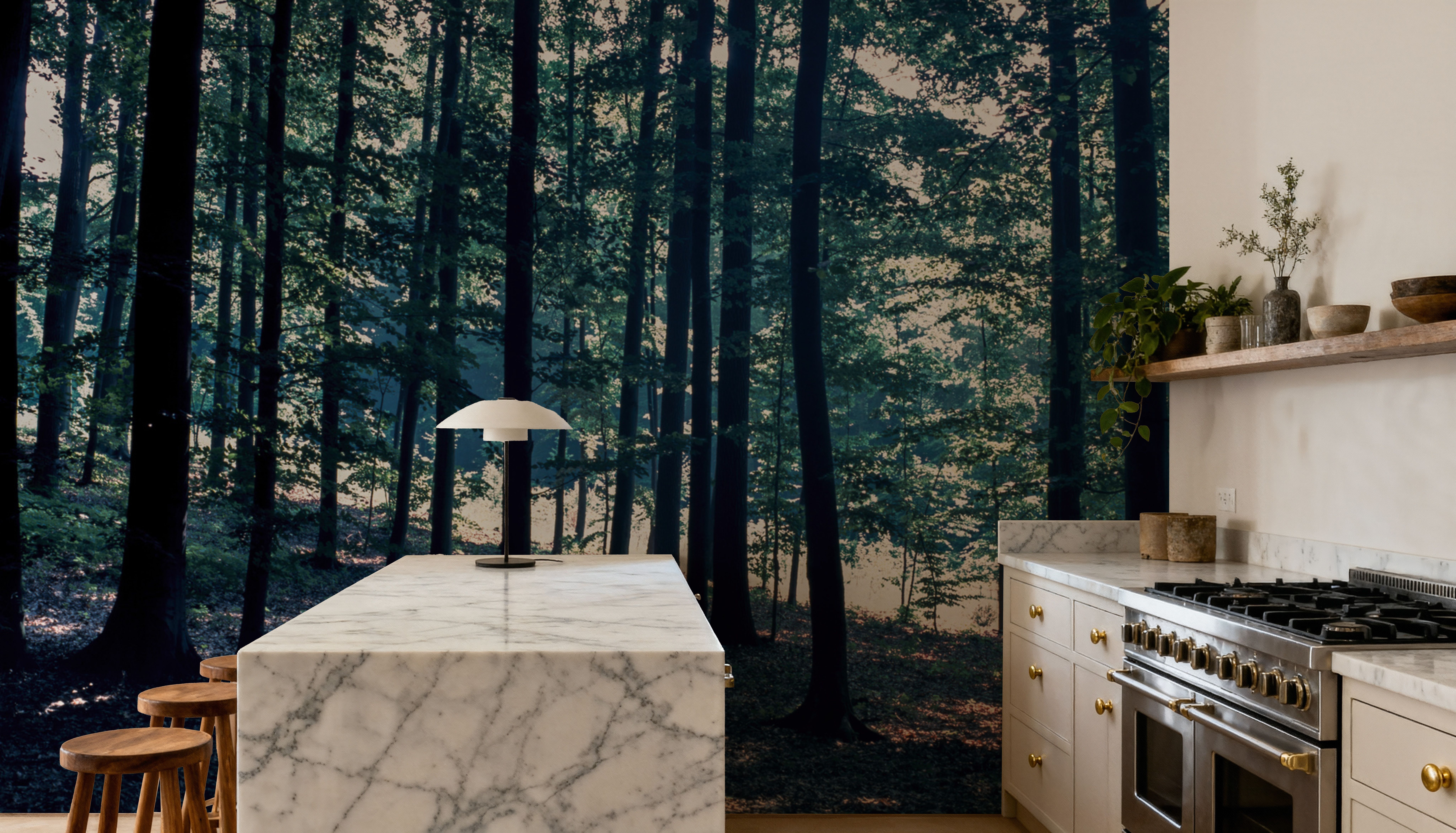 Dappled Forest Light