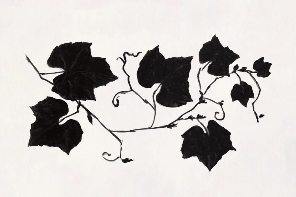 Shadow Botanical I