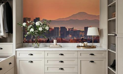 Denver Skyline
