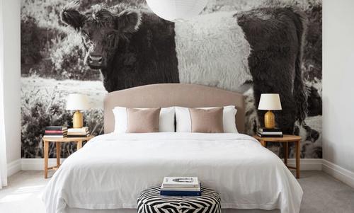 Standing Cow
