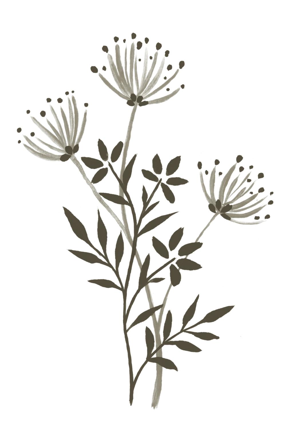 French Country Botanicals Neutral II