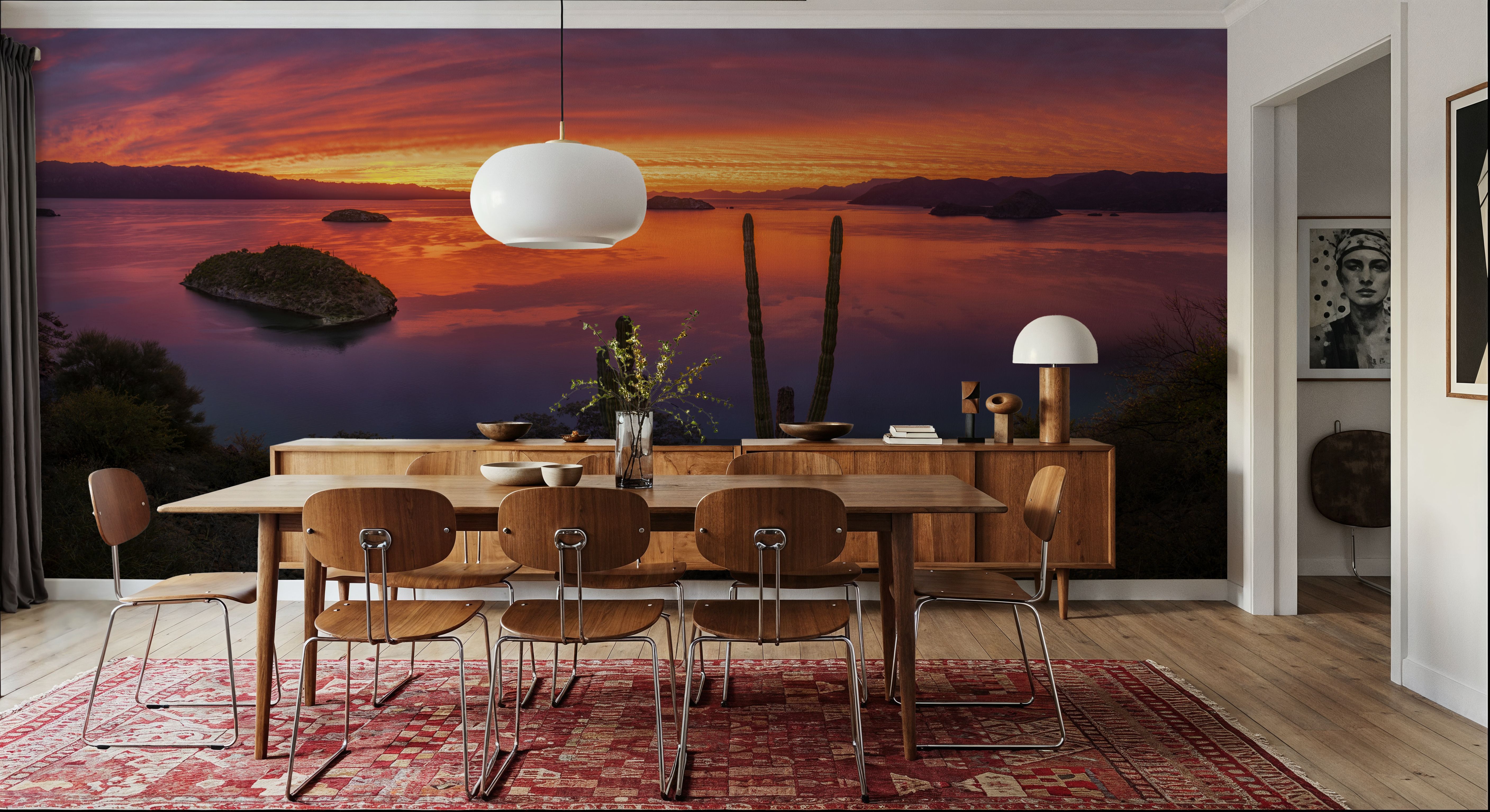 Cardon Cactus Sunset, Wallpaper