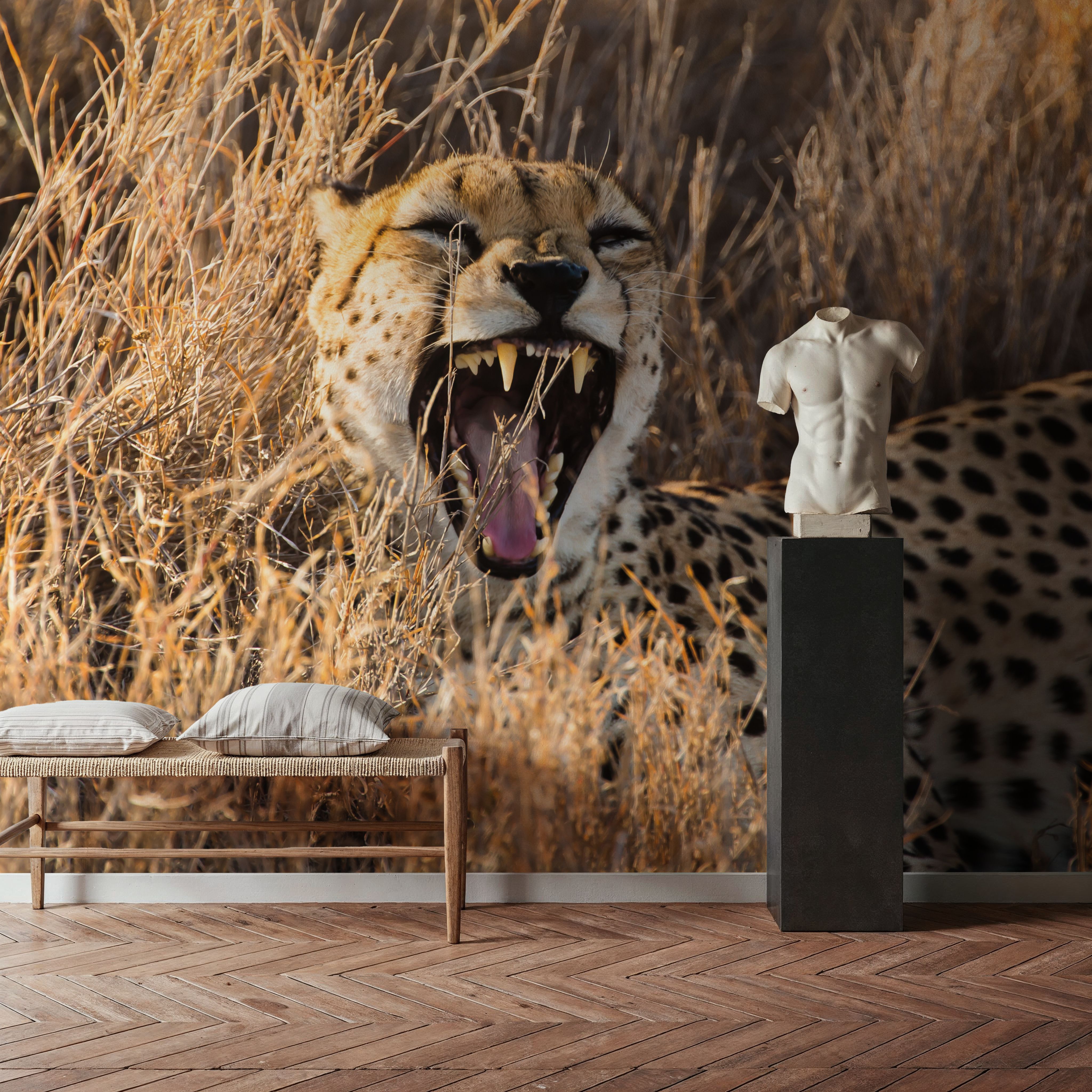 Big Yawn II