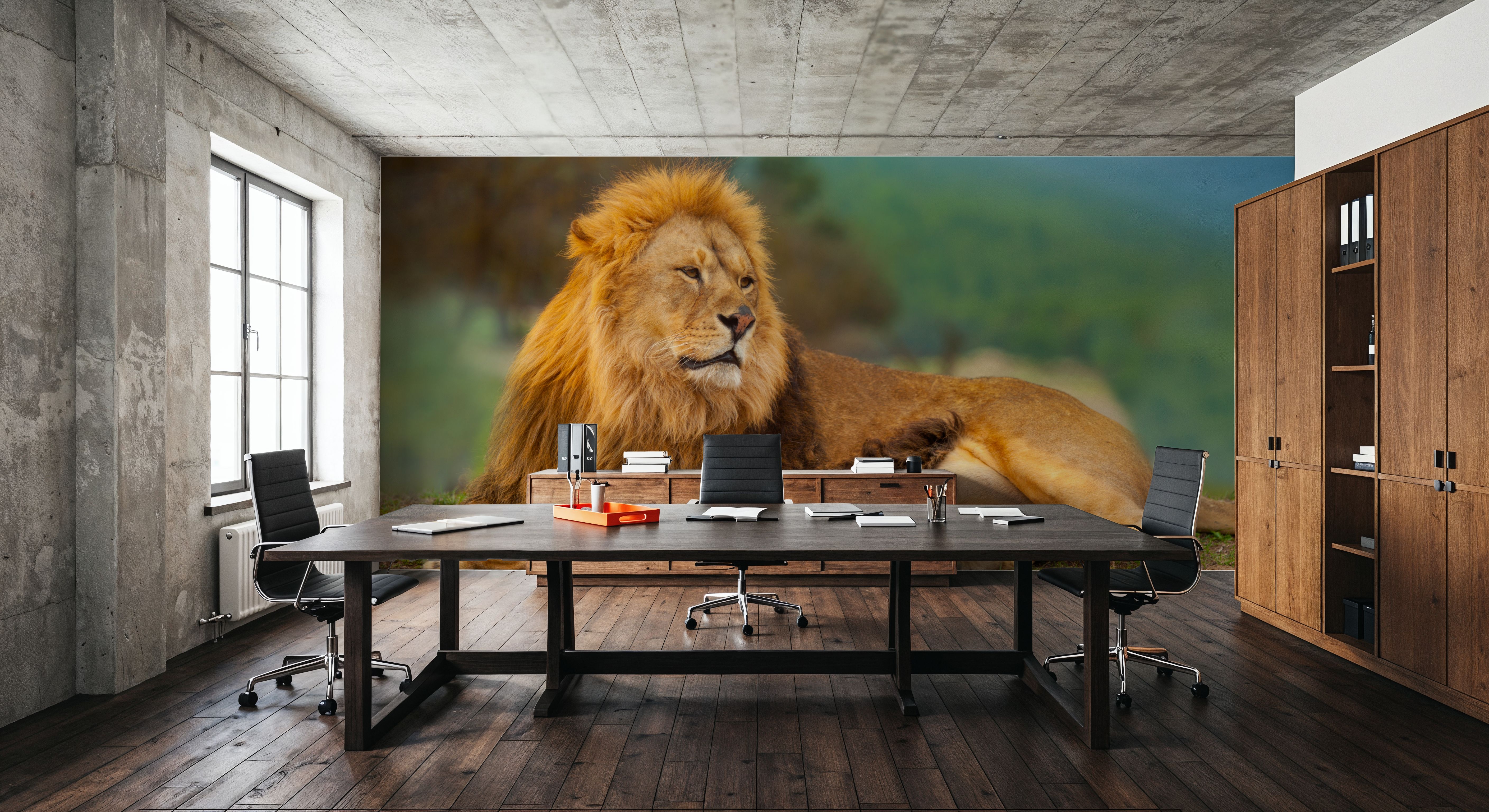 Lion Rest