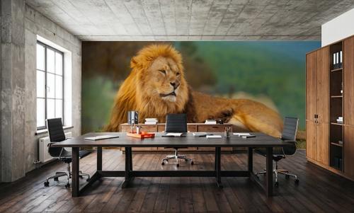 Lion Rest