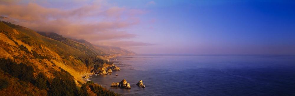 Golden Coast Majesty