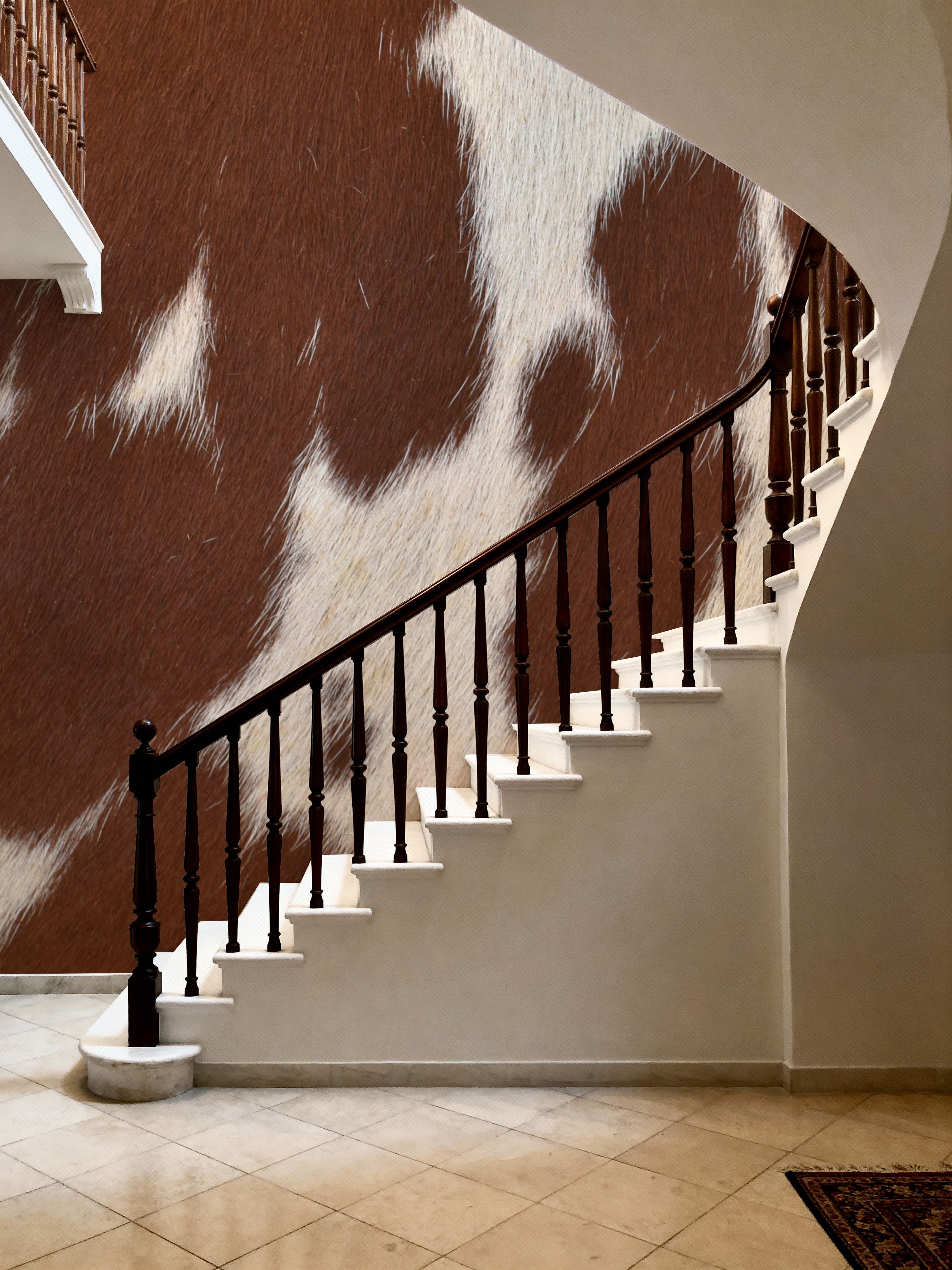 Brown Spotted Cow Hide