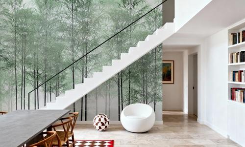 Bamboo Forest