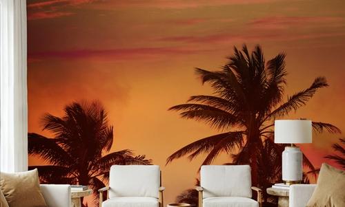 Miami Beach Sunset