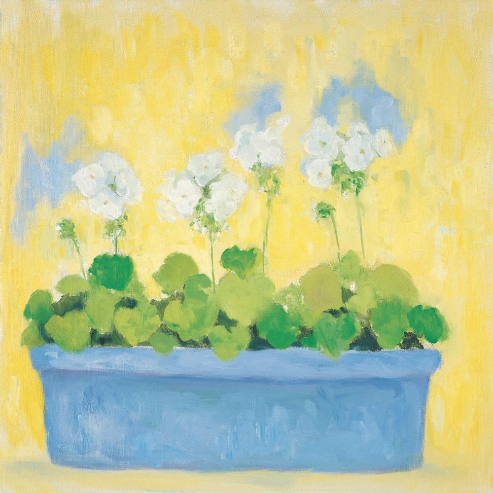 Window Box with Geraniums
