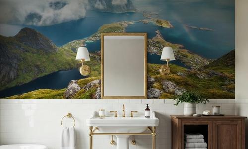 Lofoten Views