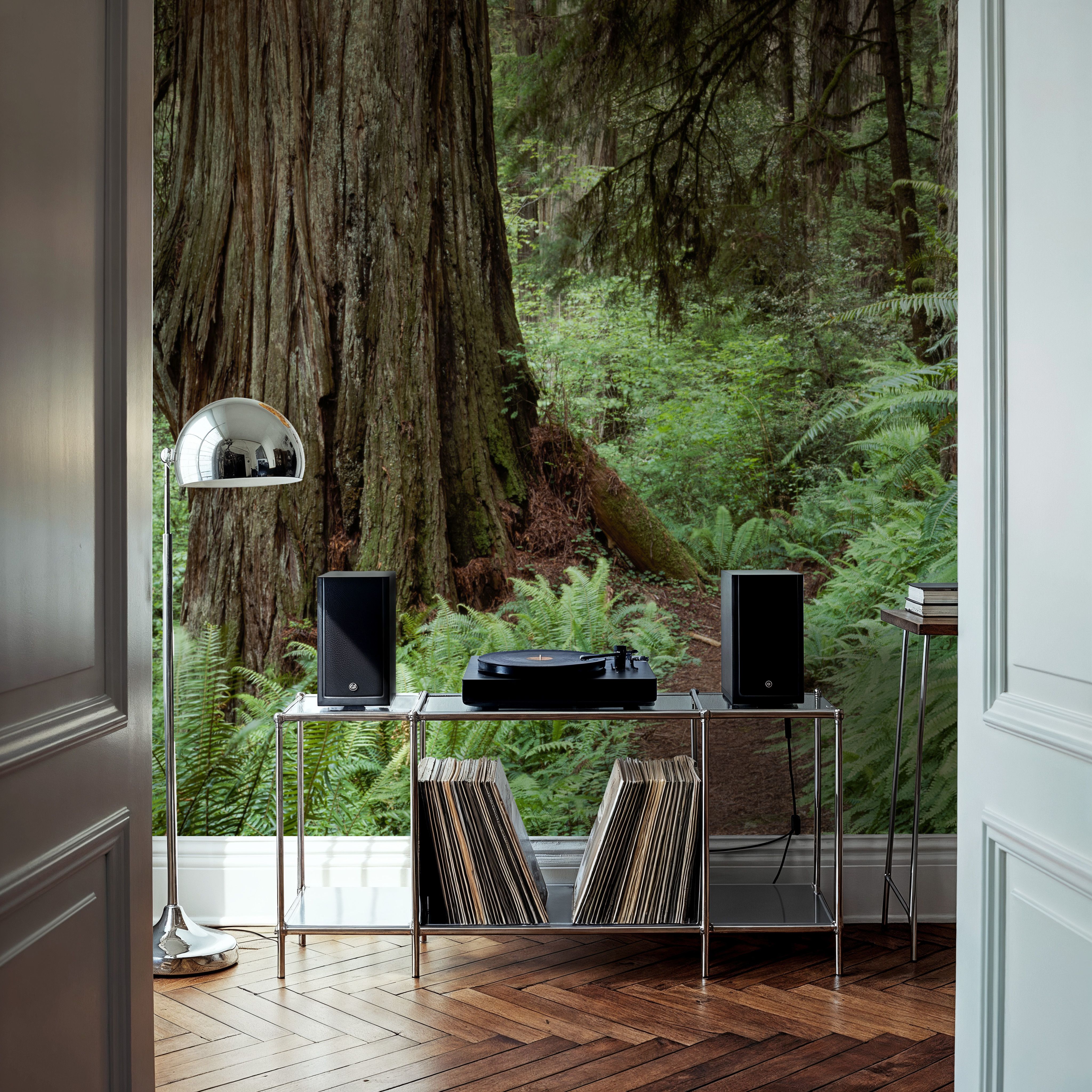 Primeval Forest Path