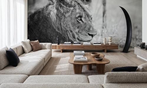 Young Lion BW