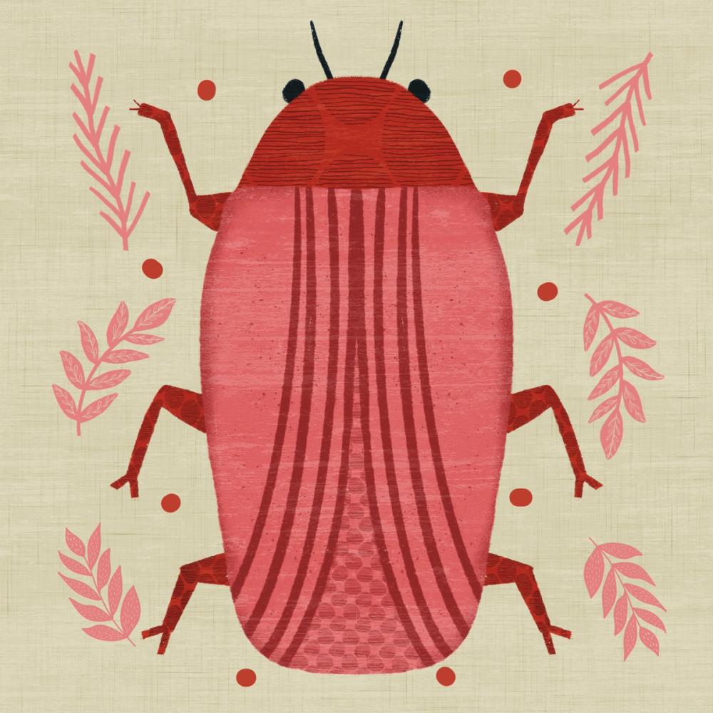 Playful Bugs IV