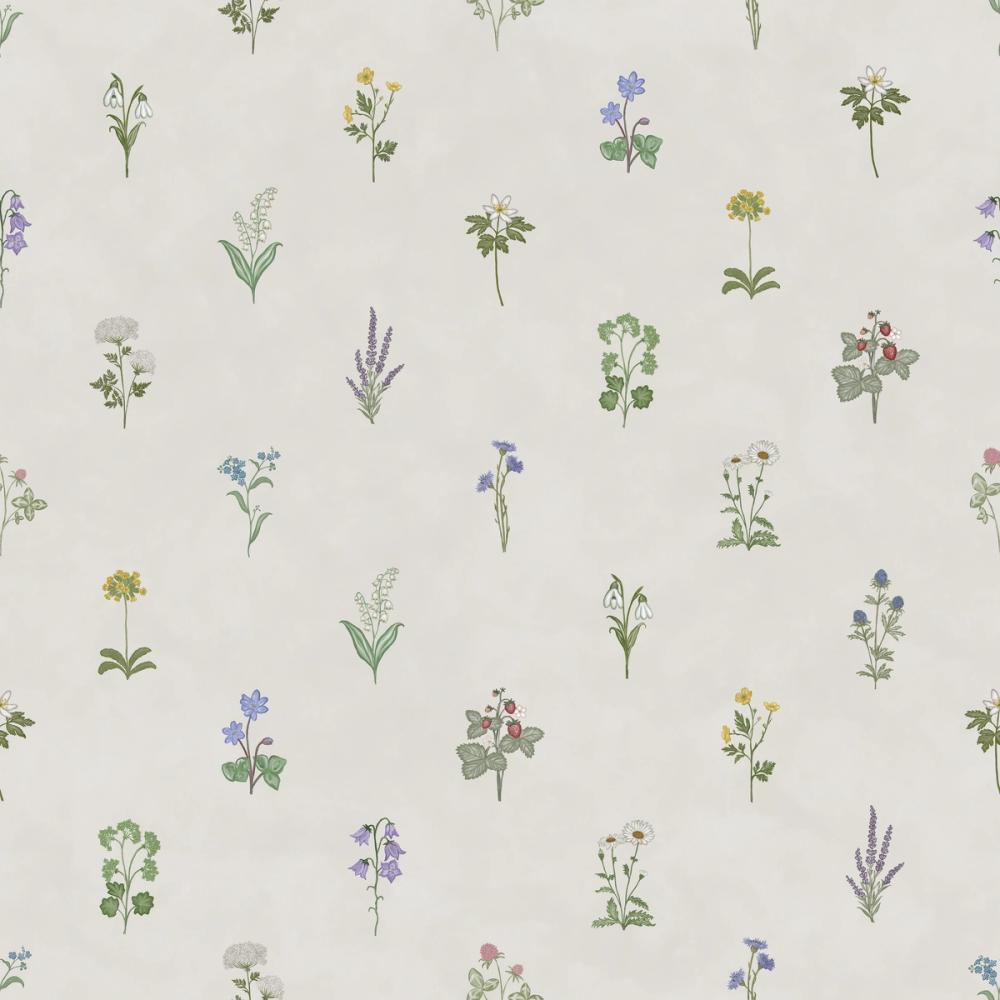 Nordic Flora, Cloud