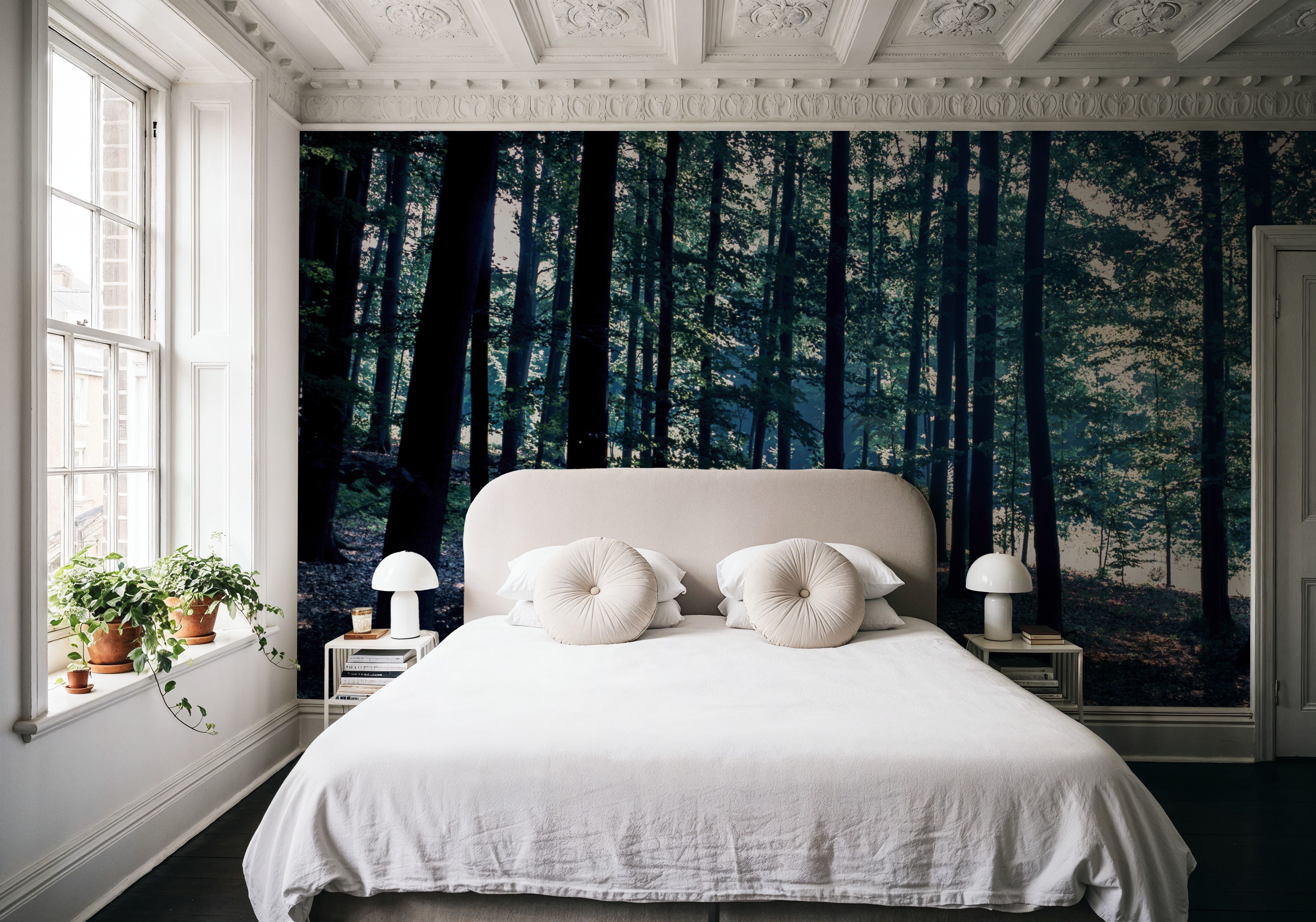 Dappled Forest Light