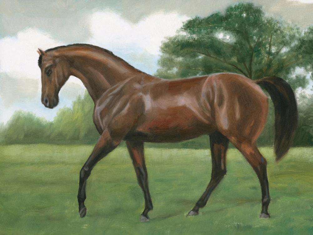Vintage Horse Portrait I