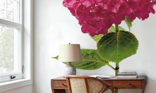Providence Hydrangea II