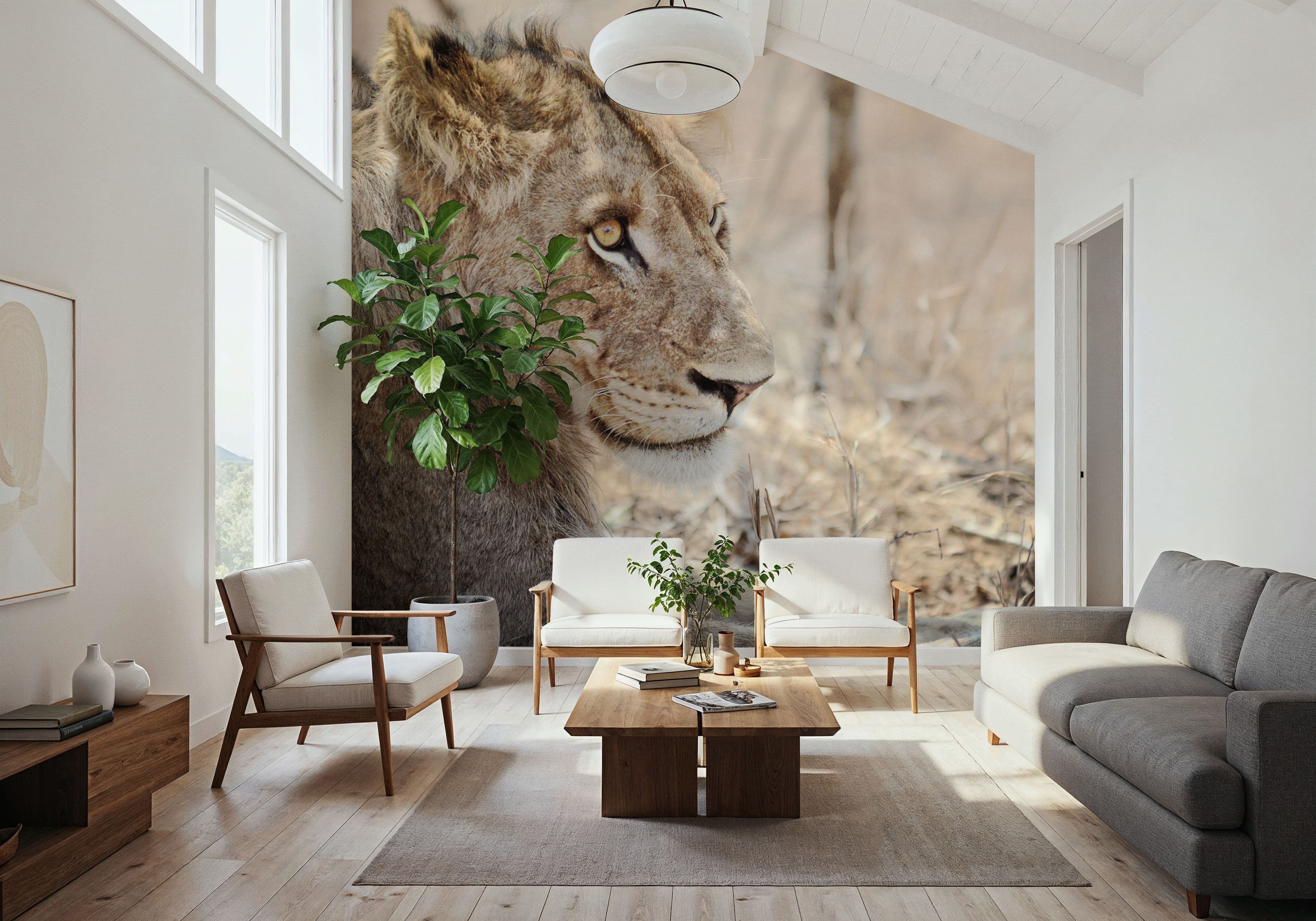 Young Lion