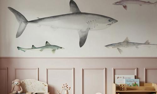 Sharks of the Pacific Ocean