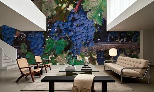 Expensive Grapes