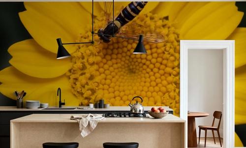Yellow Attraction