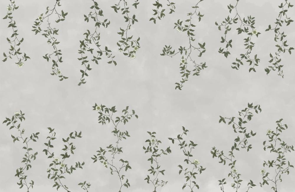 Rambling Rose, Ivory on Cloud
