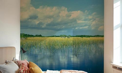 Everglades Mangrove