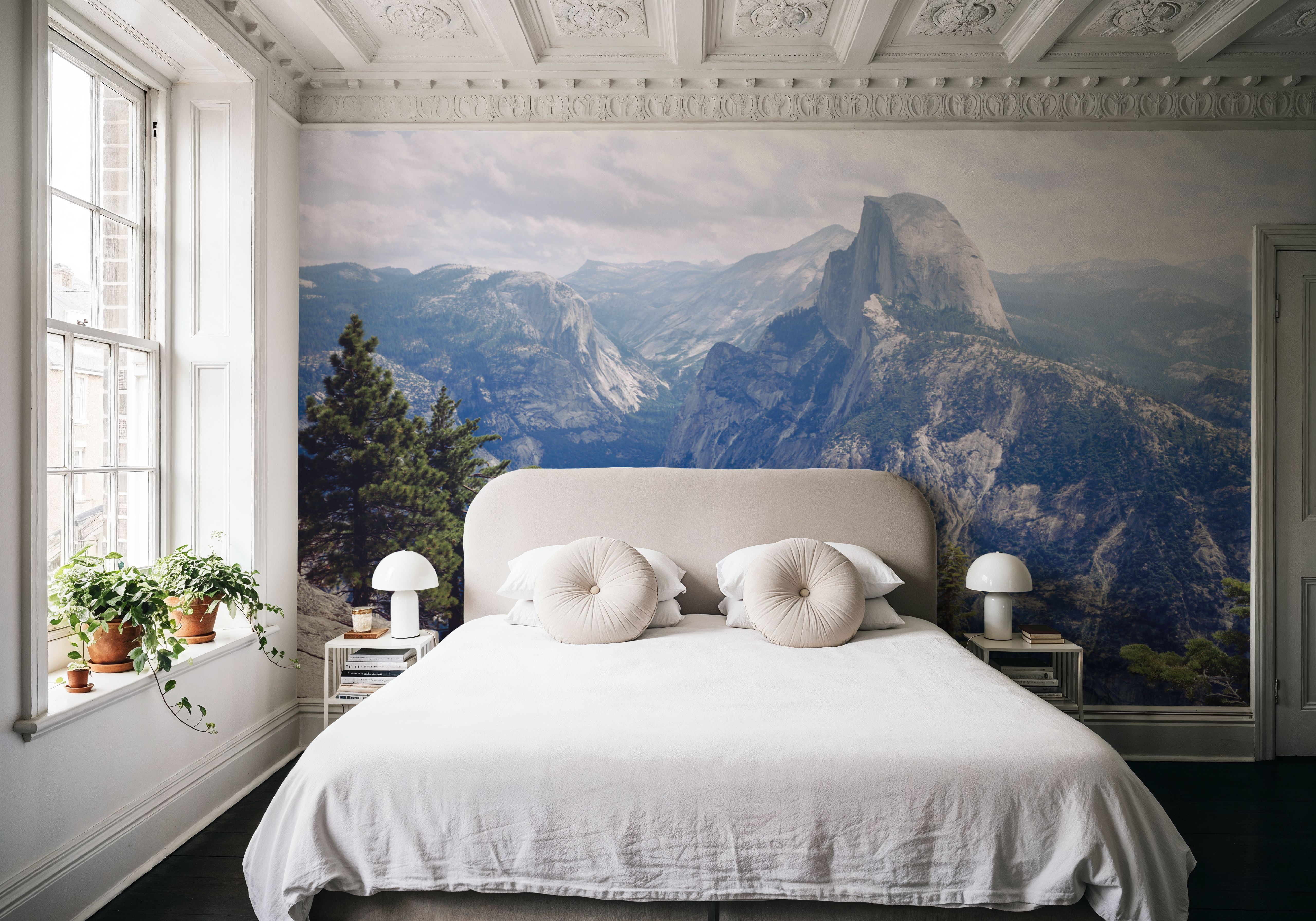 Half Dome High Sierras