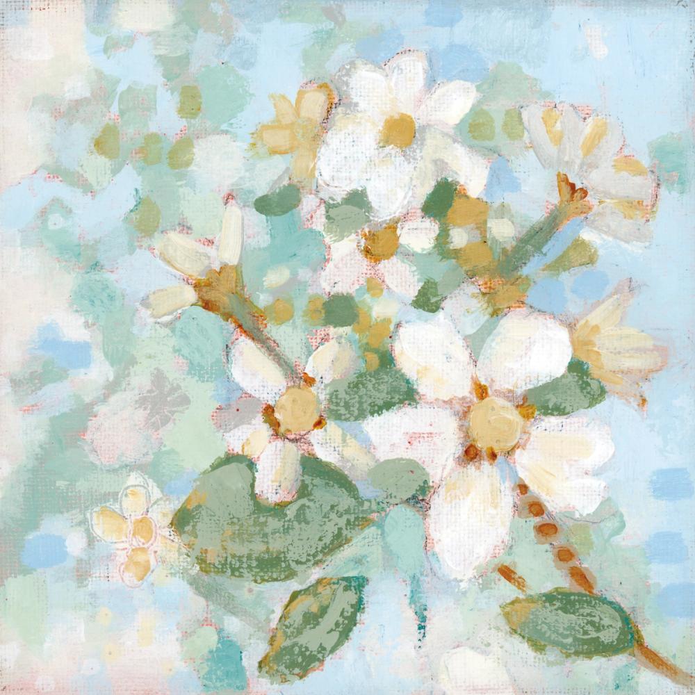 Dogwood Spring I