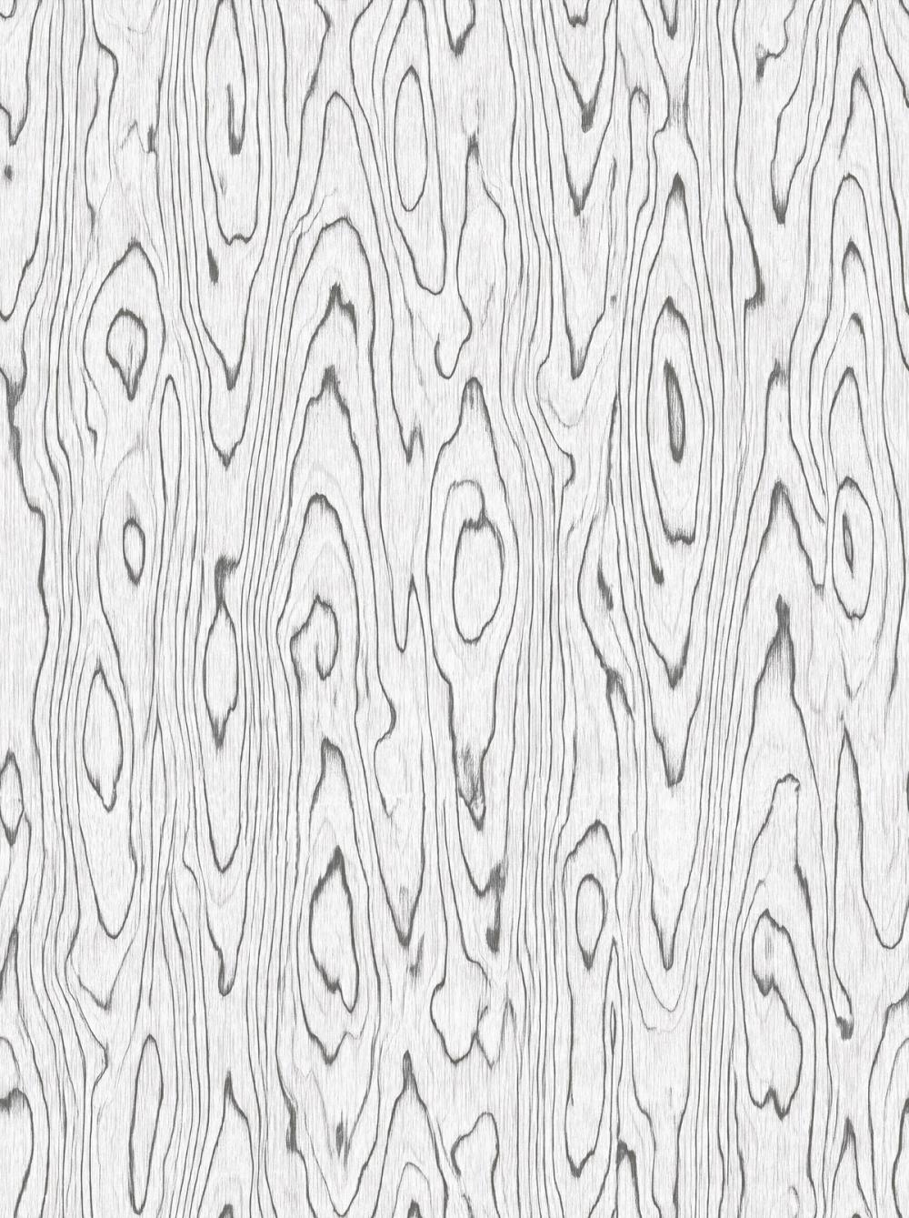 Conoid Grain, Ivory Black