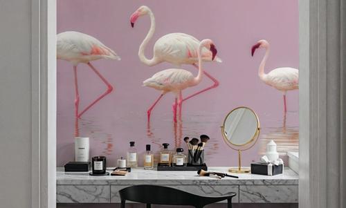 Flamingos
