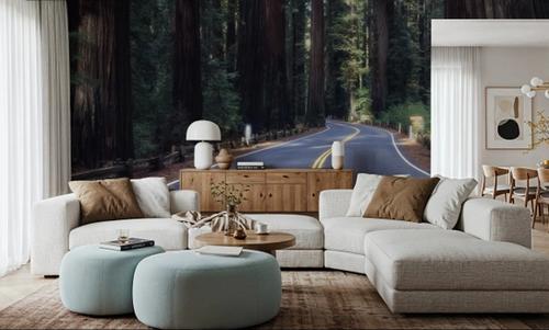 Redwood Journey