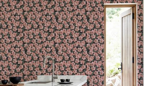 Cinquefoil Pink