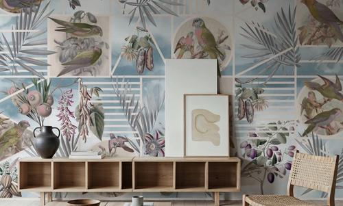 Parrots Study