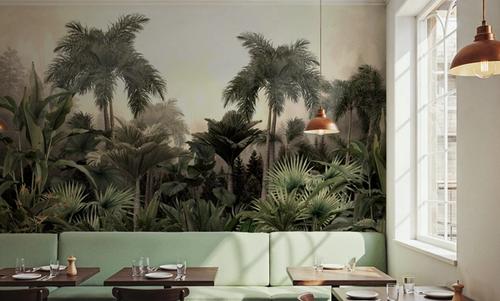 Rain Forest