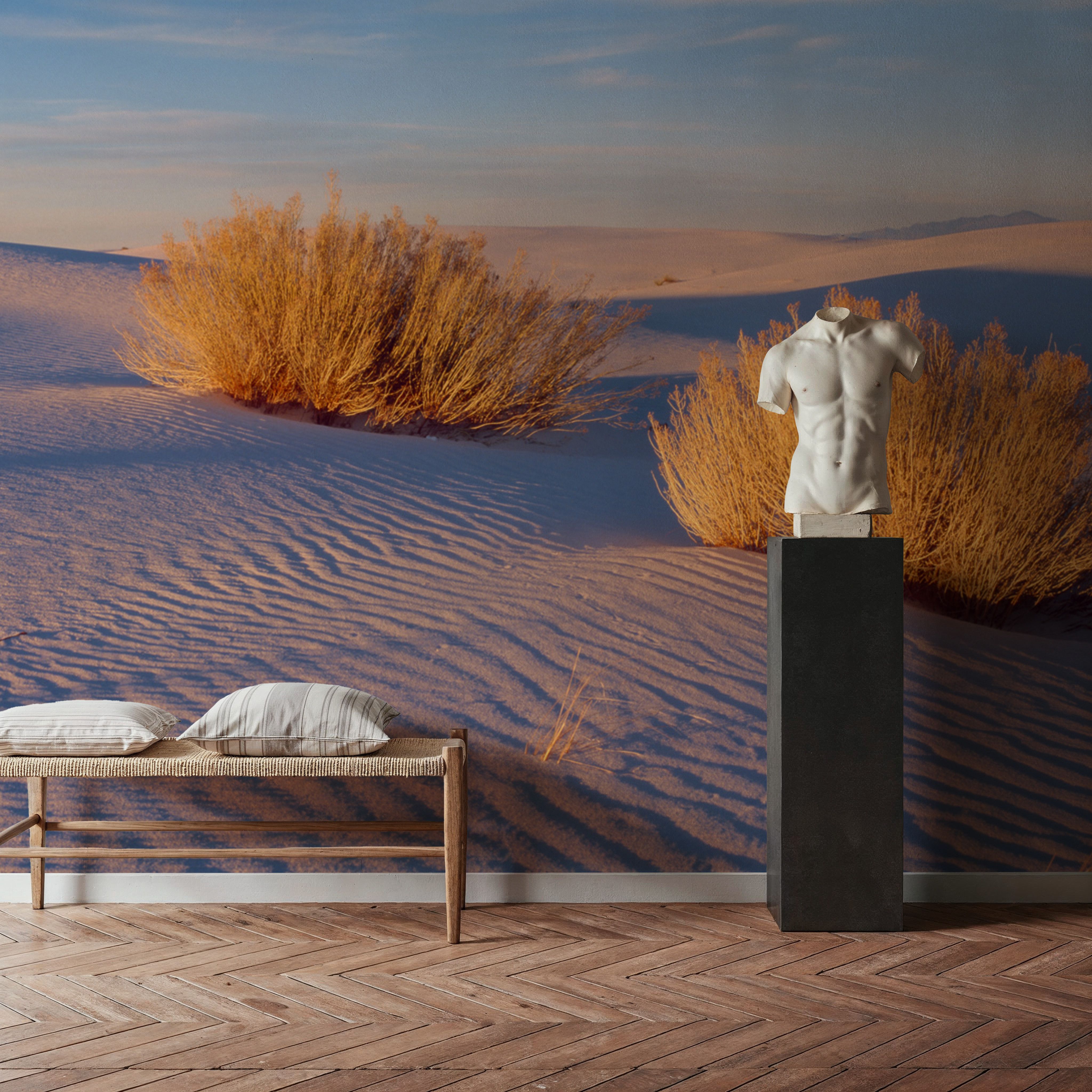 Golden Dune Shadows